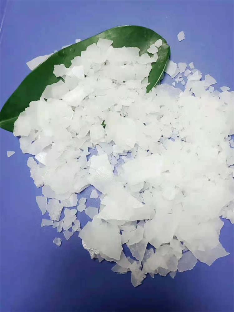 草莓在线观看APP}