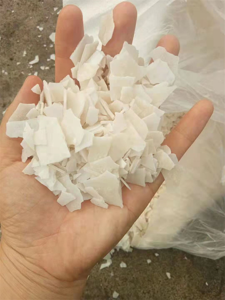 草莓在线观看APP}